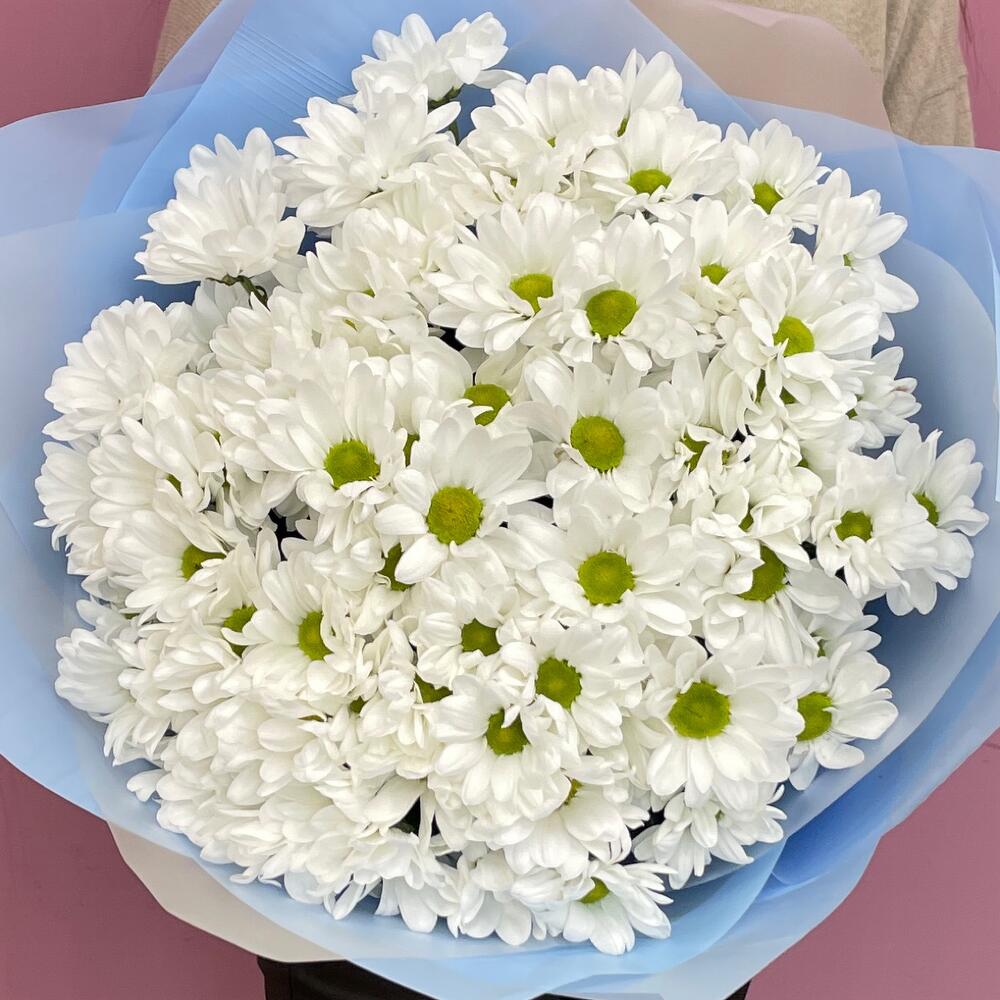 Букет «Ромашковое поле» – свежесть белых хризантем Новокузнецк Кемеровская область