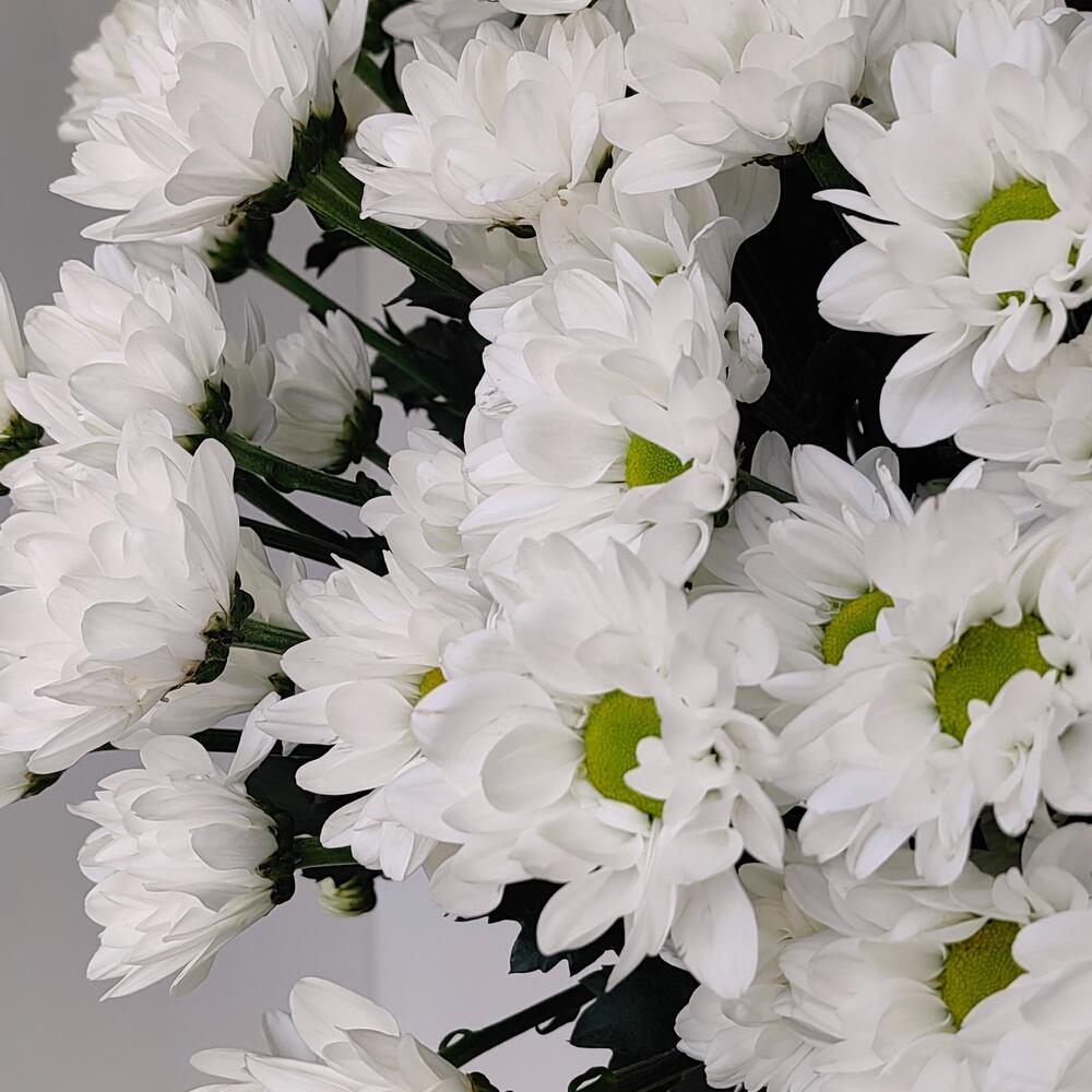 Букет «Ромашка» — свежесть белых хризантем в деревенском стиле Новокузнецк Кемеровская область